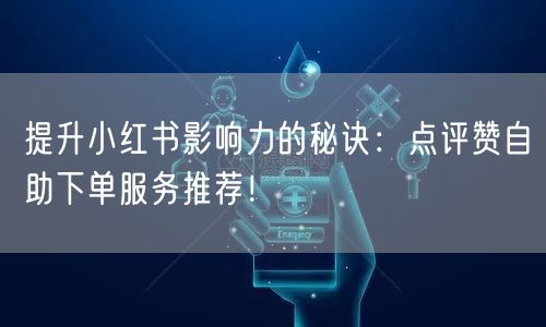 提升小红书影响力的秘诀：点评赞自助下单服务推荐！