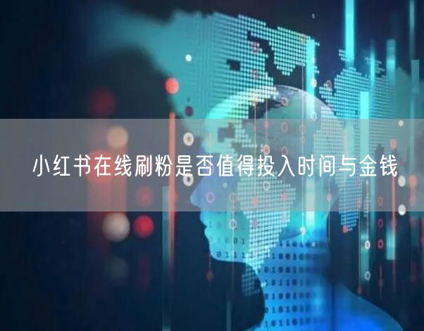 小红书在线刷粉是否值得投入时间与金钱