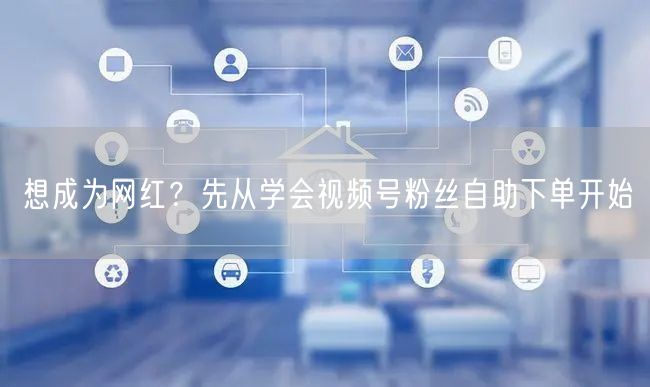 想成为网红?先从学会视频号粉丝自助下单开始