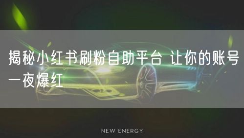 揭秘小红书刷粉自助平台 让你的账号一夜爆红
