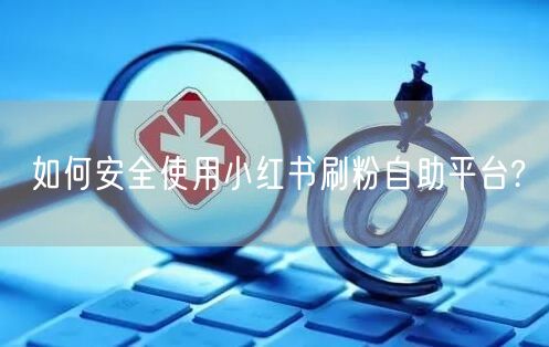 如何安全使用小红书刷粉自助平台?